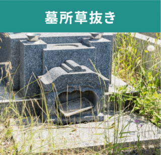 墓所草抜き 墓所草抜き
